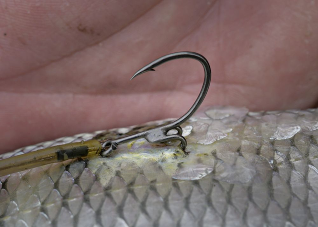 Claw Hook Camouflage Quantum Mr. Pike