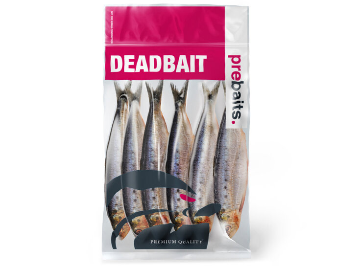 Doodaas Sardines Groot - Vacu&uuml;m verpakt | 15-23CM | 4-8ST